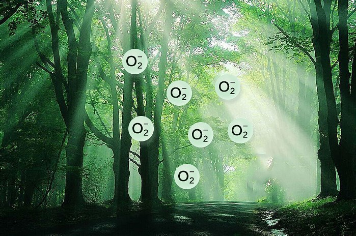 1528684965116.jpg 1528684965116.jpg