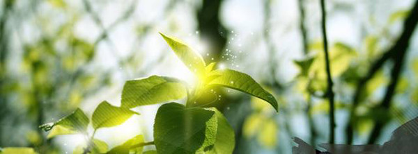 025a1df521ff4072af02bdbfec194805.jpg 025a1df521ff4072af02bdbfec194805.jpg