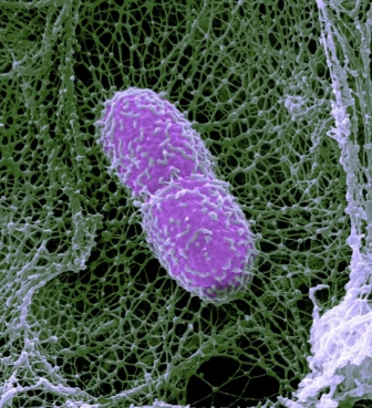 微信截圖_20240816112355.png 微信截圖_20240816112355.png